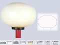 Elliptical Globe Fixture